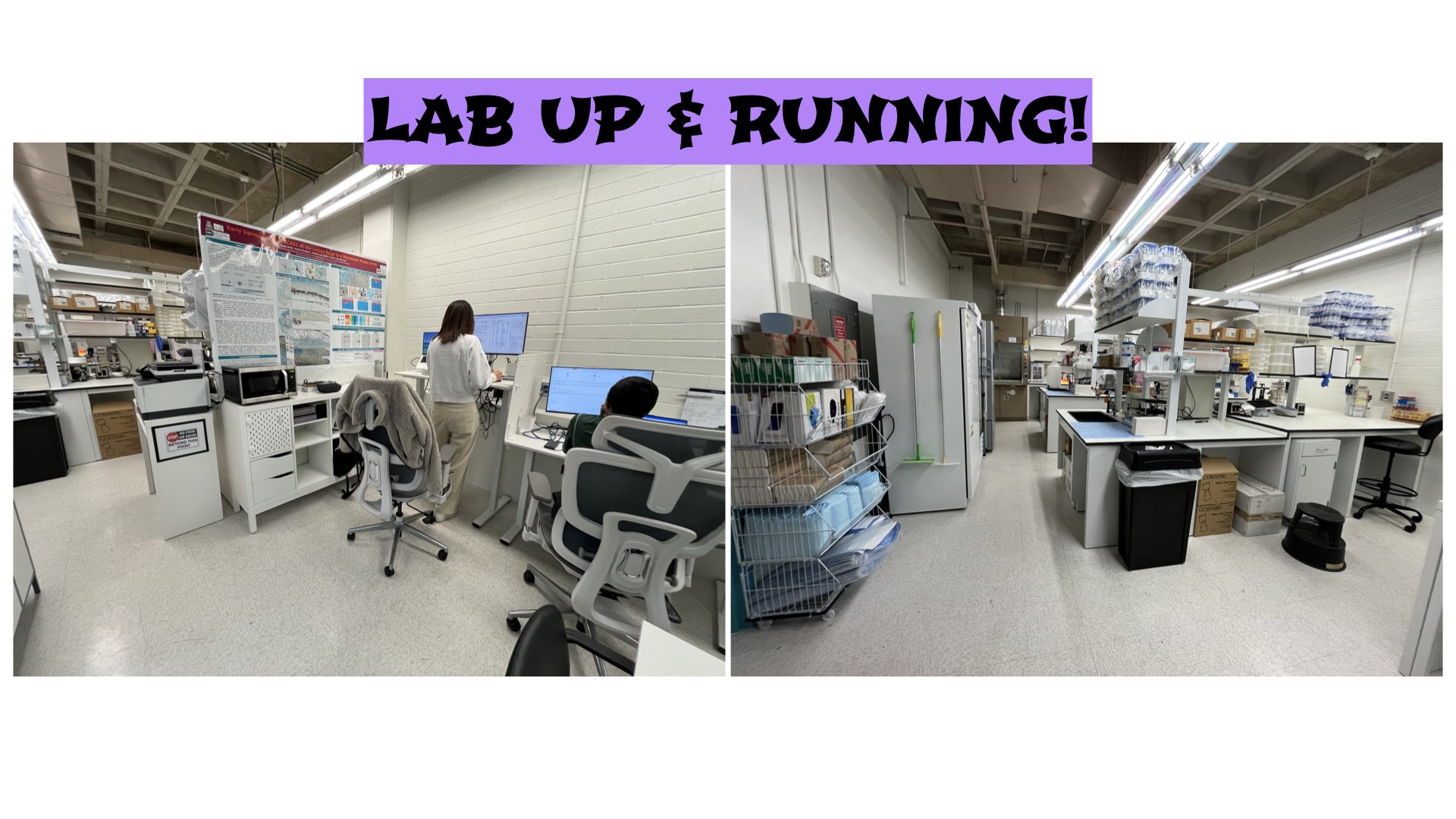 LabBuilding